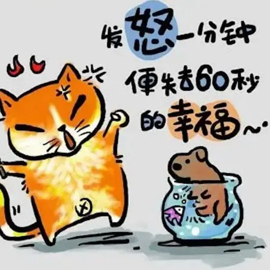 最新剧集3